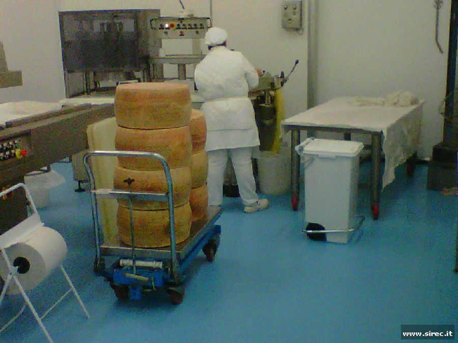  &raquo; Pavimenti e Rivestimenti nell'Industria Lattiero-Casearia
