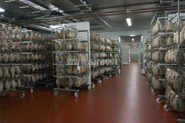 Pavimento industriale in resina stagionatura salumi