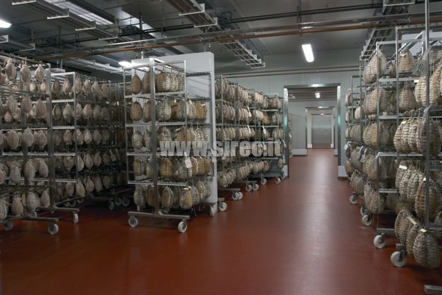 Epoxy resin floor for seasoning meats